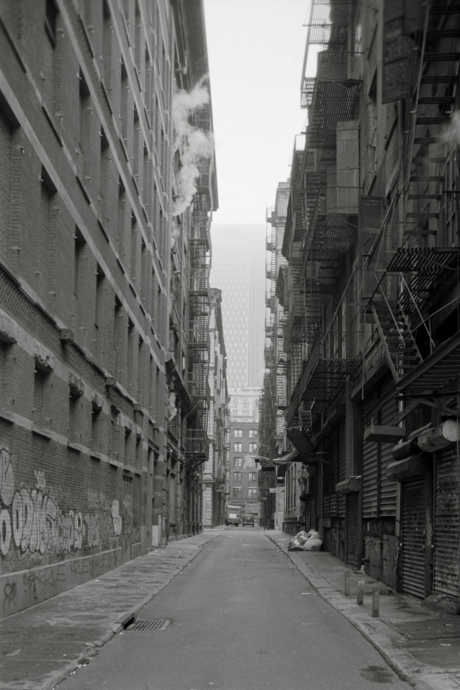 AHP F1995 04 004 sc240816 img33 NLP